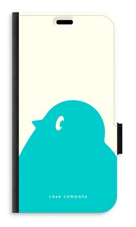 BIG Robin 1