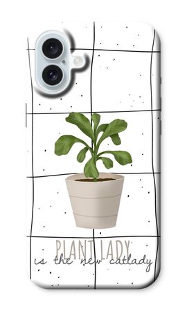 Houseplant on windowpane