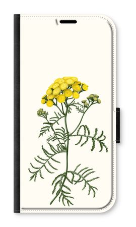 Tansy