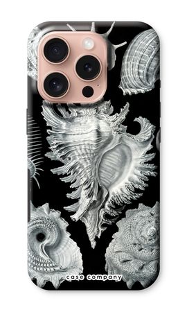 Haeckel Prosobranchia
