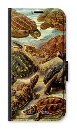 Haeckel Chelonia