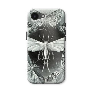 Haeckel Tineida