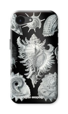 Haeckel Prosobranchia