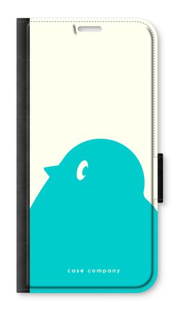 BIG Robin 1