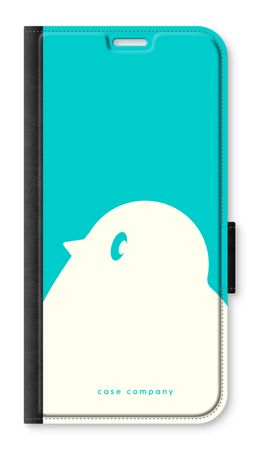 BIG Robin 2