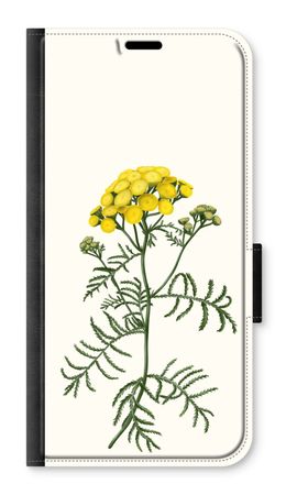 Tansy