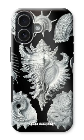 Haeckel Prosobranchia