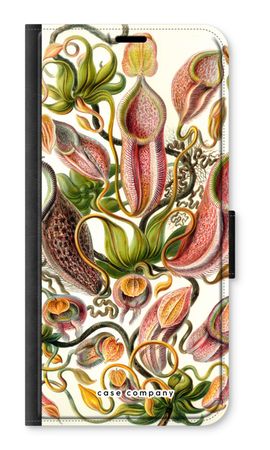 Haeckel Nepenthaceae