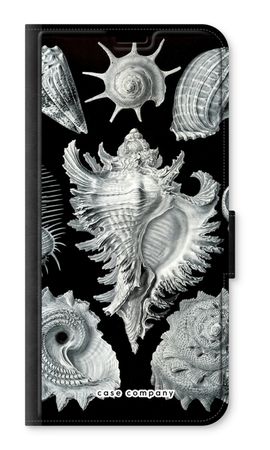 Haeckel Prosobranchia