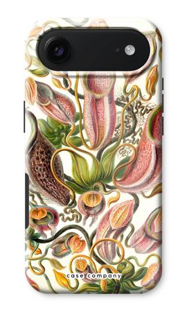 Haeckel Nepenthaceae