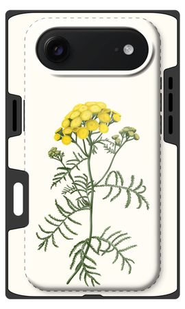 Tansy