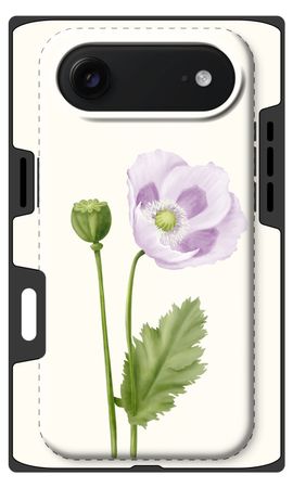Purple poppy