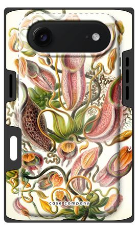 Haeckel Nepenthaceae