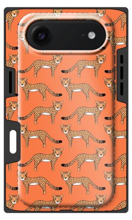 Cheetah