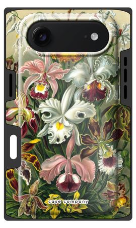 Haeckel Orchidae