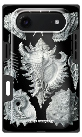 Haeckel Prosobranchia