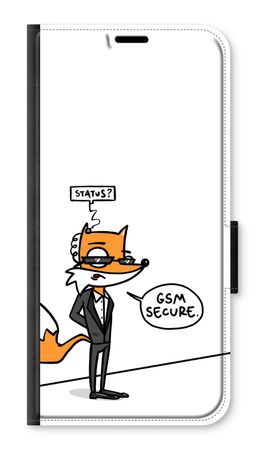 GSM secure