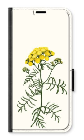 Tansy