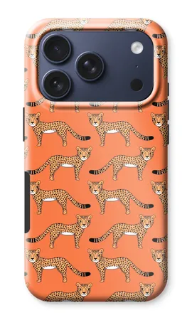 Cheetah