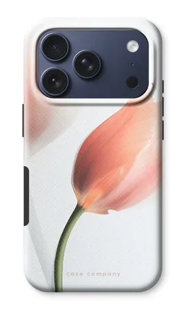 Tulip