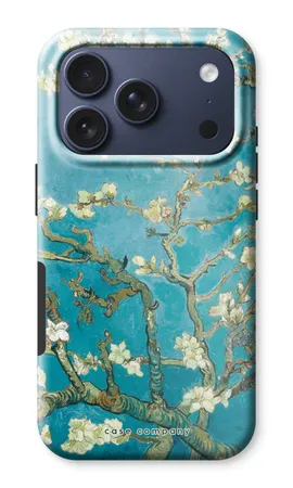 Mandelblüte