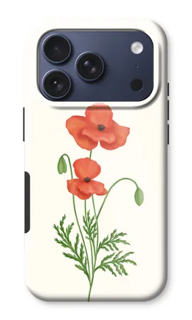Red poppy