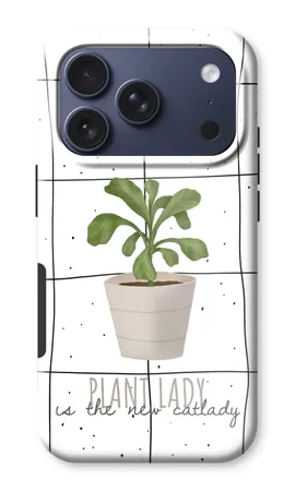Houseplant on windowpane