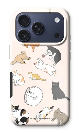 Katzen