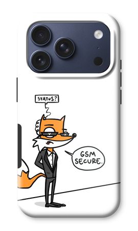 GSM secure