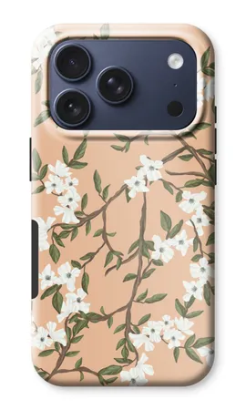 Blossoming spring
