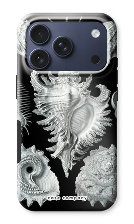 Haeckel Prosobranchia