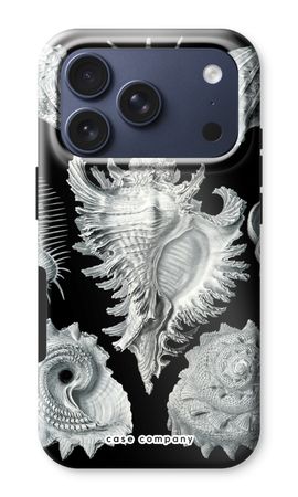 Haeckel Prosobranchia