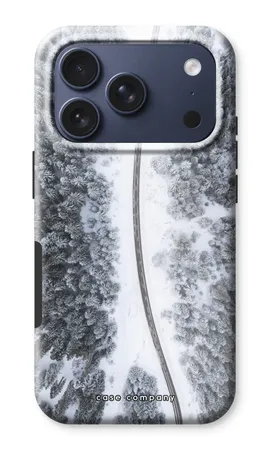 Snøfall