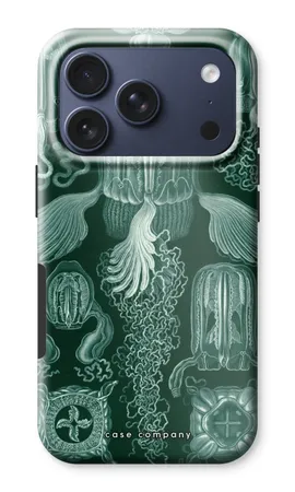 Haeckel Cubomedusae