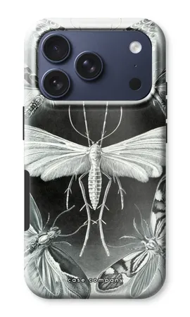 Haeckel Tineida
