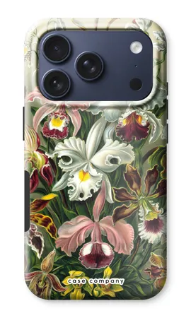 Haeckel Orchidae