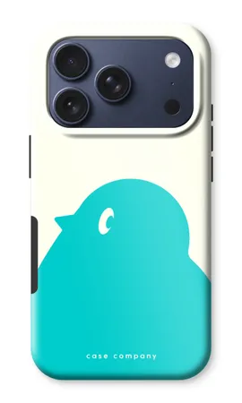 BIG Robin 1