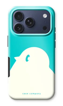 BIG Robin 2