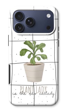 Houseplant on windowpane