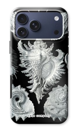 Haeckel Prosobranchia