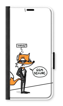 GSM secure