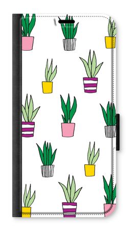 Sanseveria