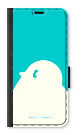 BIG Robin 2
