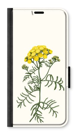 Tansy