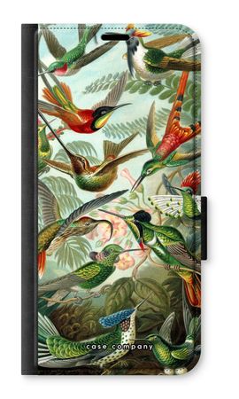 Haeckel Trochilidae