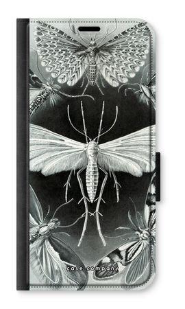 Haeckel Tineida