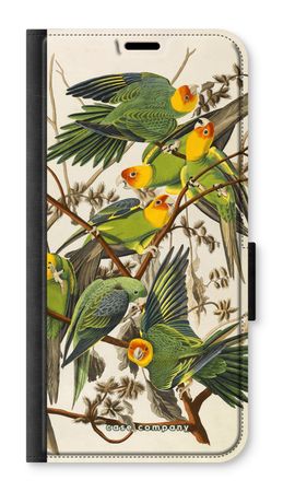 Carolina Parrot