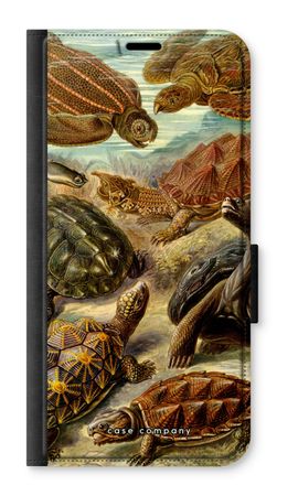 Haeckel Chelonia