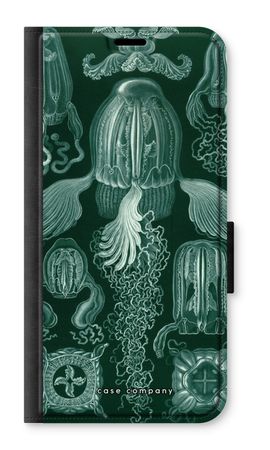 Haeckel Cubomedusae