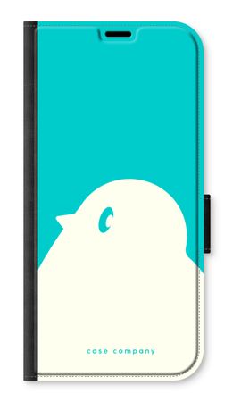 BIG Robin 2